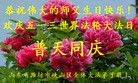 ֹ,Ϋ󷨵ӹʦ𻪵ߴ󷨺鴫ʮ(23)
