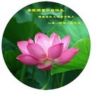 Published on 9/8/2014 ���ֹ�,��½�󷨵��ӹ�ףʦ�������(31��)
