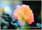 ֹ,ʯׯ󷨵ӹףʦ(25)
