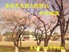 ֹ,󷨵ӹףʦ(22)
