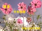 ֹ,󷨵ӹףʦ(22)
