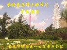 ֹ,󷨵ӹףʦ(22)
