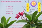 ֹ,󷨵ӹףʦ(20)

