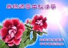 ֹ,󷨵ӹףʦ(21)
