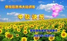 ֹ,մ󷨵ӹףʦ(28)
