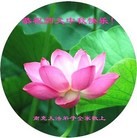 Published on 9/8/2014 ���ֹ�,��½�󷨵��ӹ�ףʦ�������(25��)
