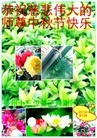 ֹ,ݴ󷨵ӹףʦ(26)
