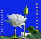 Published on 9/8/2014 ���ֹ�,��½�󷨵��ӹ�ףʦ�������(46��)
