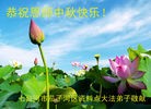 ֹ,󷨵ӹףʦ(20)
