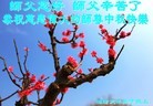 ֹ,Ϋ󷨵ӹףʦ(26)
