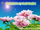 ֹ,ػʵ󷨵ӹףʦ(26)
