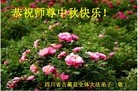 ֹ,Ĵ󷨵ӹףʦ(23)

