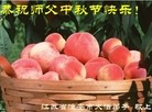 ֹ,մ󷨵ӹףʦ(22)
