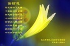 ֹ,󷨵ӹףʦ(24)
