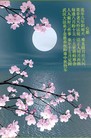 ֹ,󷨵ӹףʦ(22)
