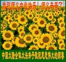 Published on 9/8/2014 ���ֹ�,��½�󷨵��ӹ�ףʦ�������(30��)
