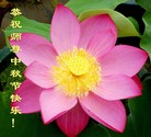 ֹ,󷨵ӹףʦ(21)
