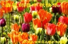 ֹ,󷨵ӹףʦ(21)

