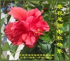 ֹ,д󷨵ӹףʦ(26)
