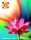ֹ,ӱ󷨵ӹףʦ(23)
