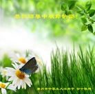 Published on 9/8/2014 ���ֹ�,����ϵͳ�󷨵��ӹ�ףʦ�������(23��)
