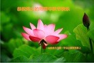 ֹ,ൺ󷨵ӹףʦ(26)
