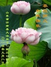 ֹ,ʴ󷨵ӹףʦ(26)
