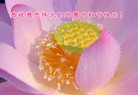 ֹ,ӱ󷨵ӹףʦ(23)
