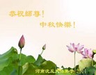 ֹ,ϴ󷨵ӹףʦ(24)

