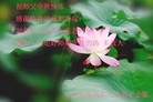 ֹ,󷨵ӹףʦ(27)
