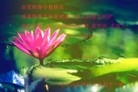 ֹ,󷨵ӹףʦ(27)

