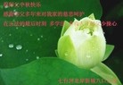 ֹ,󷨵ӹףʦ(27)
