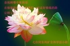 ֹ,󷨵ӹףʦ(27)
