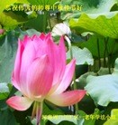 ֹ,ϴ󷨵ӹףʦ(24)
