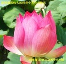 ֹ,ϴ󷨵ӹףʦ(24)
