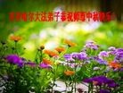 ֹ,󷨵ӹףʦ(20)
