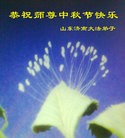 ֹ,ϴ󷨵ӹףʦ(29)
