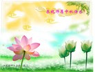 ֹ,մ󷨵ӹףʦ(24)
