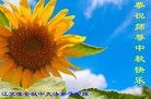 ֹ,մ󷨵ӹףʦ(24)
