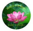 法轮功,河南大法弟子恭祝师尊中秋好(26条)
