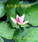 ֹ,ϴ󷨵ӹףʦ(26)
