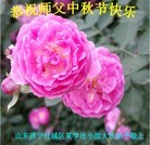 Published on 9/8/2014 ���ֹ�,��½�󷨵��ӹ�ףʦ�������(25��)
