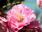 ֹ,󷨵ӹףʦ(27)
