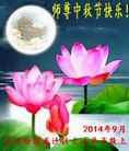 法轮功,齐齐哈尔大法弟子恭祝师尊中秋好(20条)
