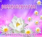 ֹ,ϴ󷨵ӹףʦ(25)
