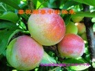 ֹ,󷨵ӹףʦ(27)
