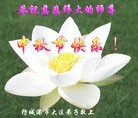 ֹ,󷨵ӹףʦ(24)
