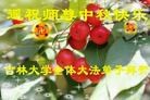 法轮功,长春大法弟子恭祝师尊中秋好(26条)
