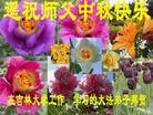 ֹ,󷨵ӹףʦ(26)
