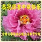 ֹ,󷨵ӹףʦ(26)
